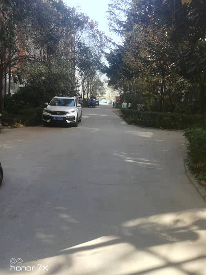 9909990藏宝阁玄机