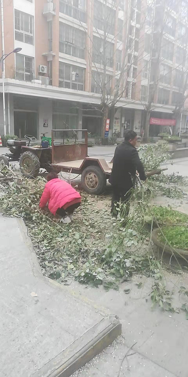 9909990藏宝阁玄机