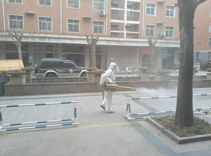 9909990藏宝阁玄机